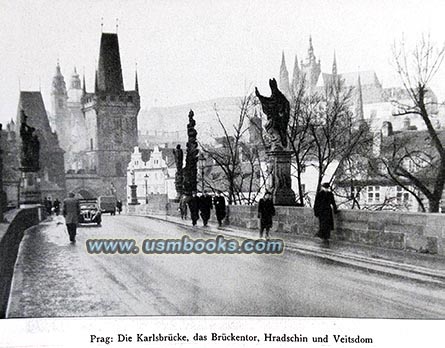 Charles Bridge in Prague with Hradcany Castle in the background