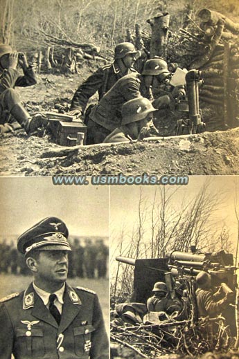 Luftwaffe Officer, Luftwaffe field guns