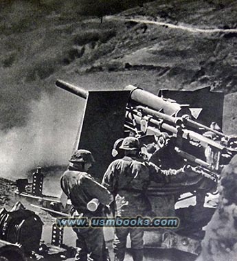 Waffen-SS heavy artillery